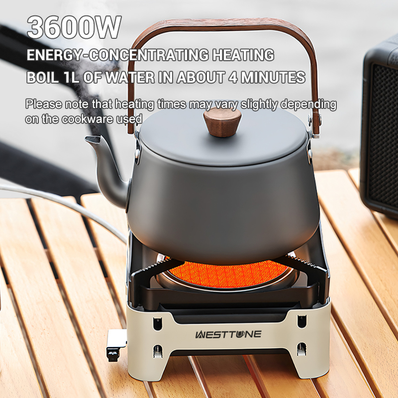 WESTTUNE – brûleur de cuisine  - Outdoor Kitchen Power Burner avis et prix
